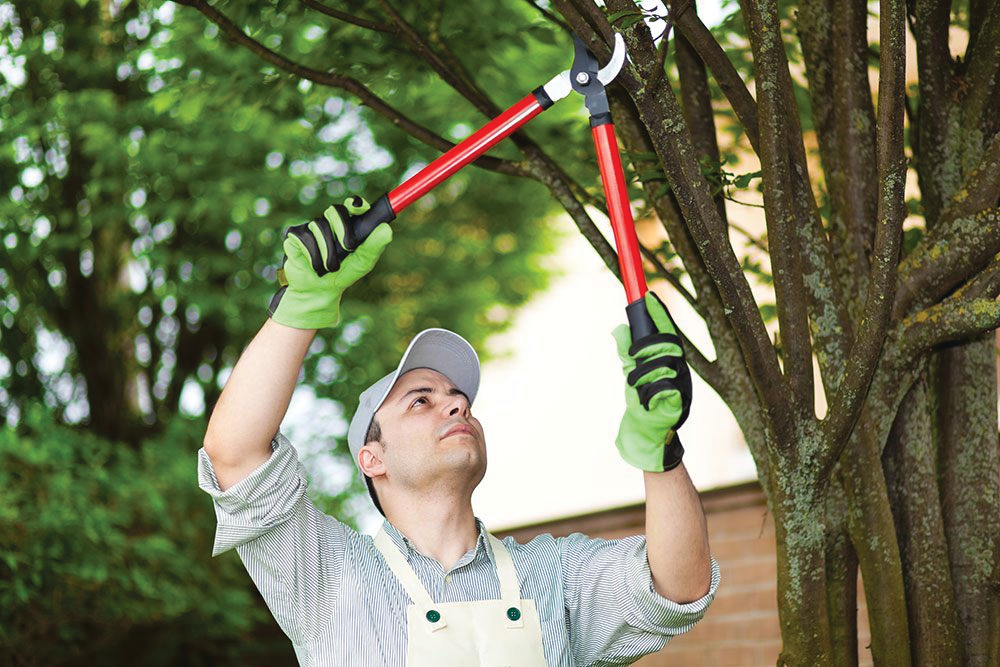service